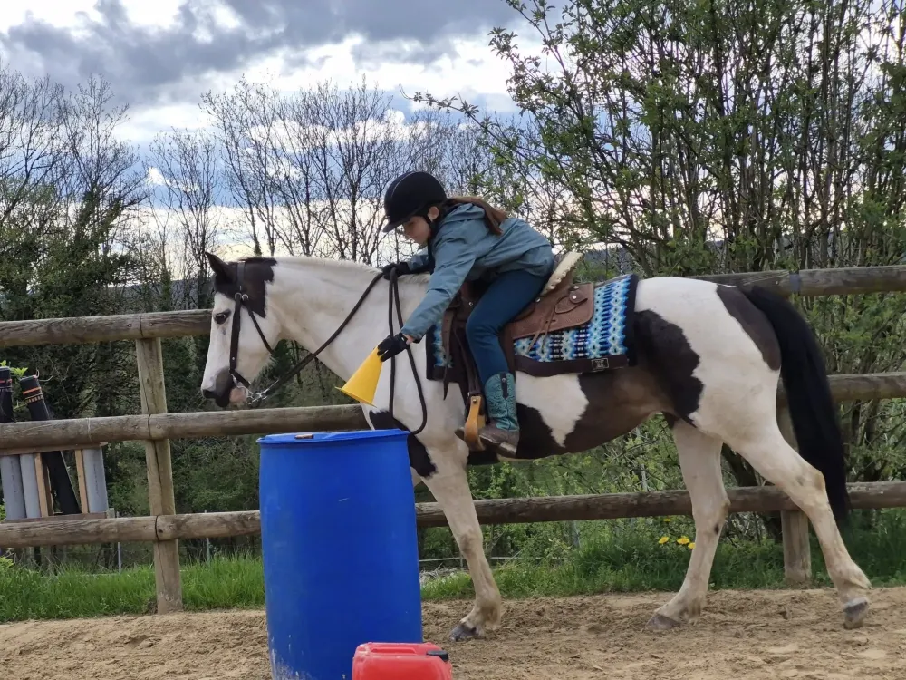 cours d'equitation (3)