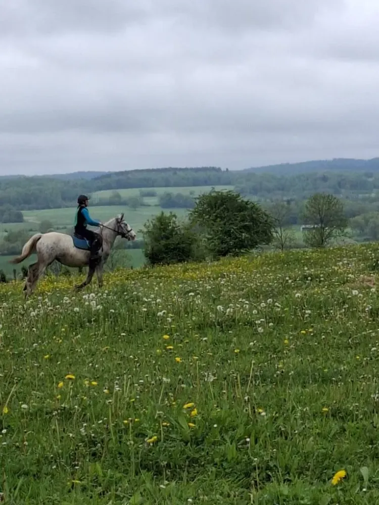 cours d'equitation (6)